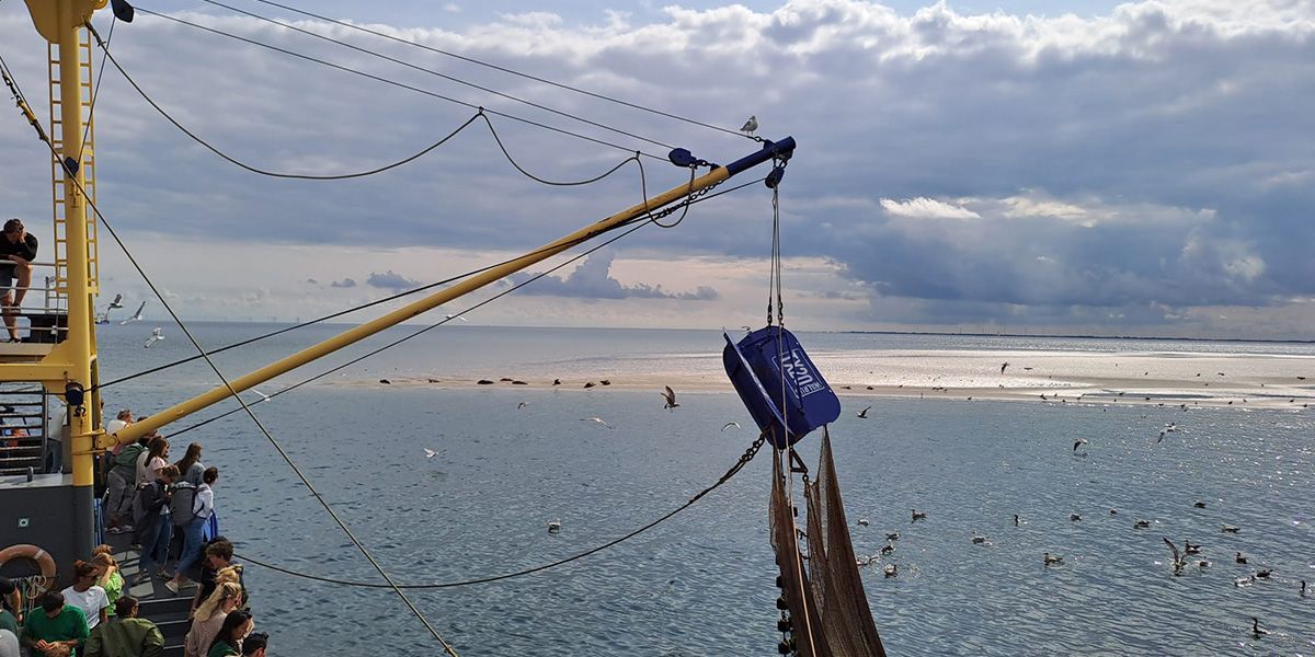 garnalenvissen-texel_02