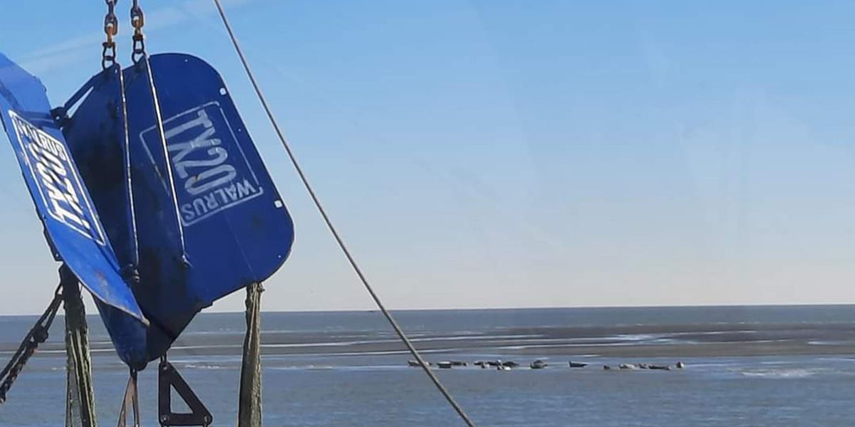 garnalenvissen-texel_05