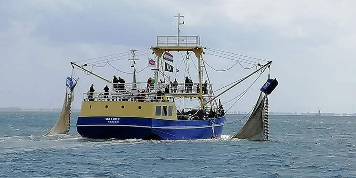 garnalenvissen-texel_07