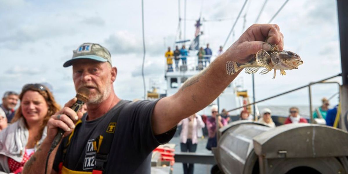 garnalenvissen-texel_09