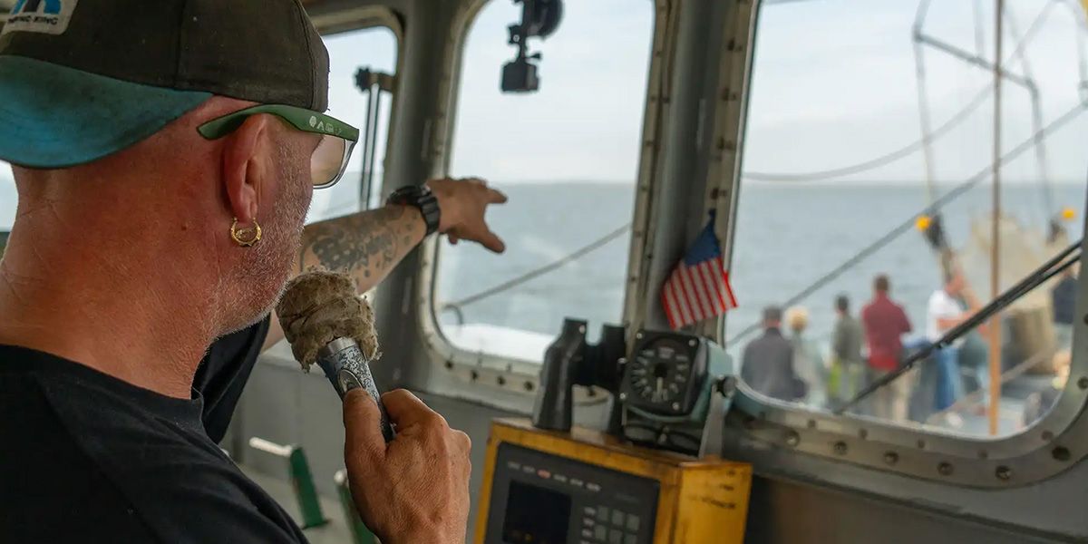 garnalenvissen-texel_12