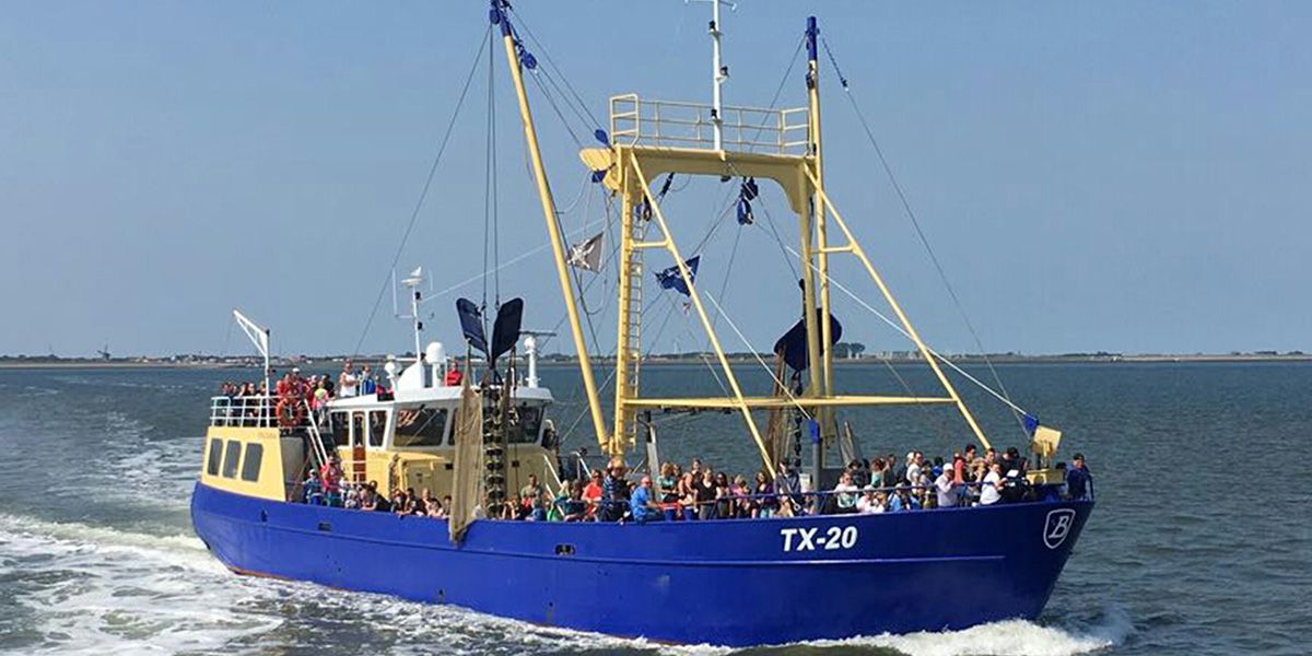 garnalenvissen-texel_13