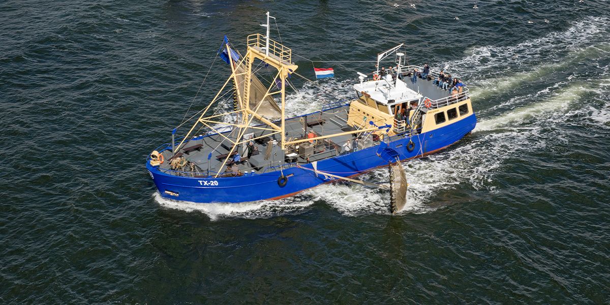 garnalenvissen-texel_17