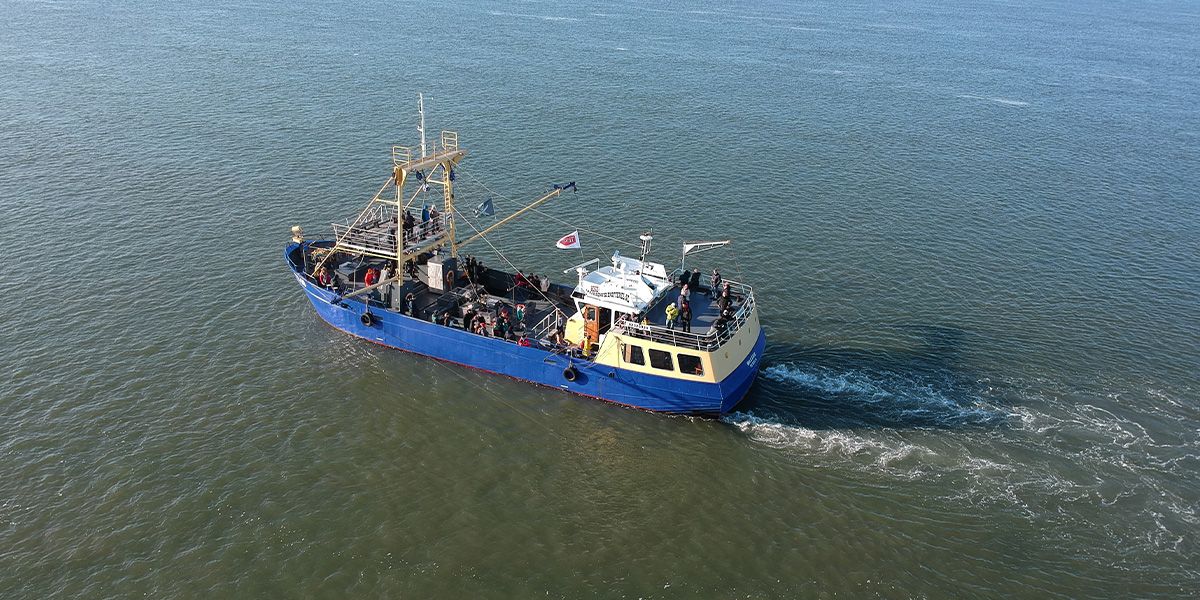 garnalenvissen-texel_18