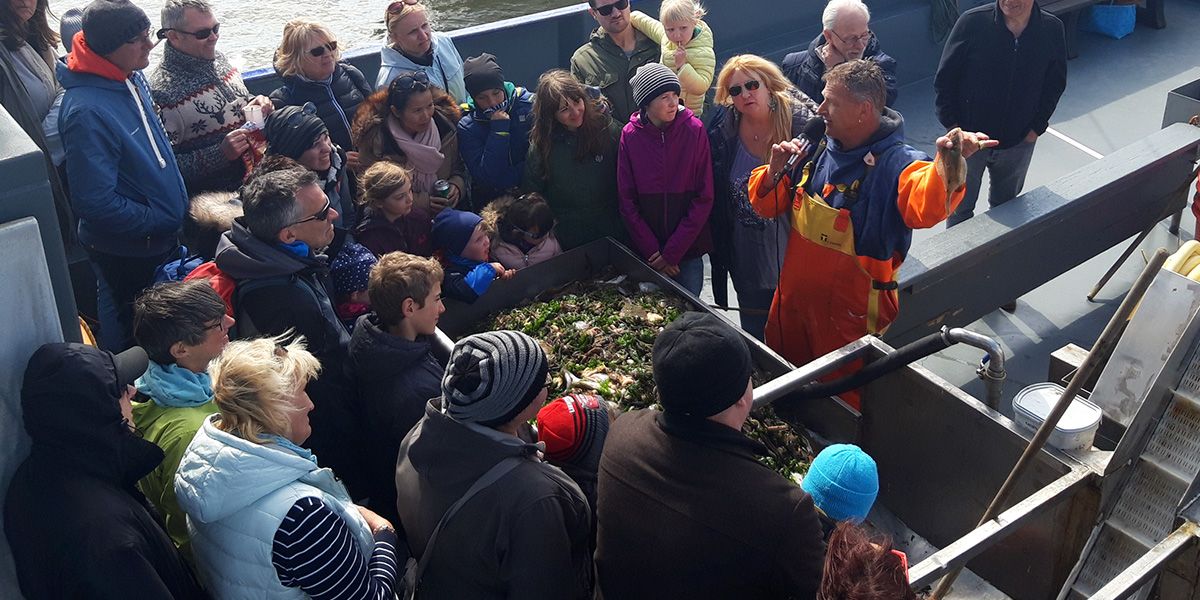 garnalenvissen-texel_21