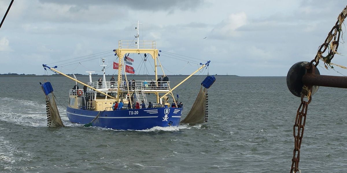 garnalenvissen-texel_24